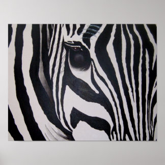 Poster Zebra