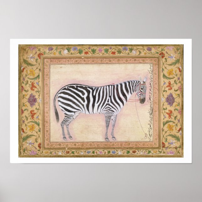Poster Zebra, de l'album Minto, 1621 (gouache sur pa (Devant)