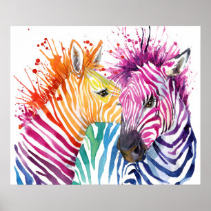 Poster Zebra Rainbow