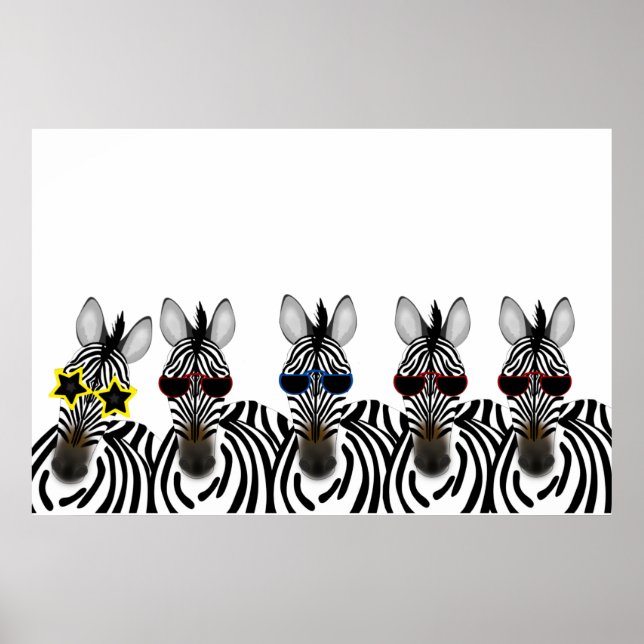 Poster Zebras (Devant)