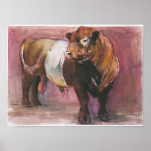 Poster Zeus Red Belted Galloway Bull 2006