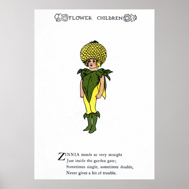 Poster Zinnia (Devant)