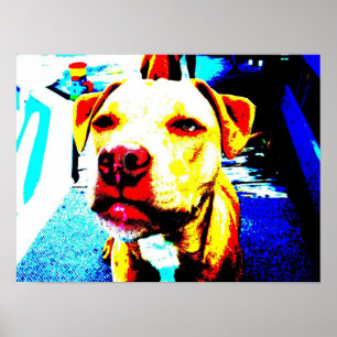 Poster zoe postérifiée