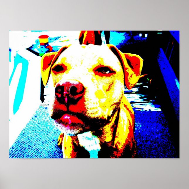 Poster zoe postérifiée (Devant)