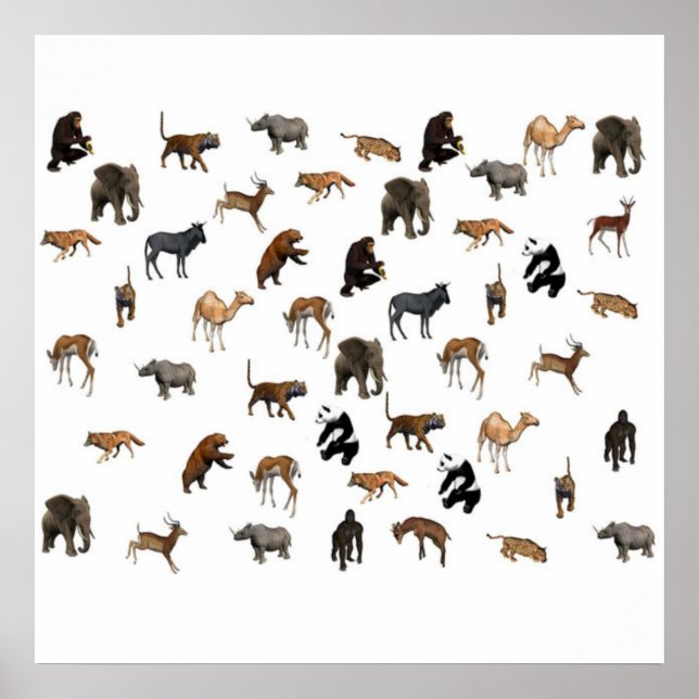 Poster Zoo Animaux (Devant)