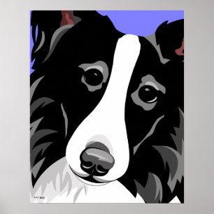 Posters Collie Bordure