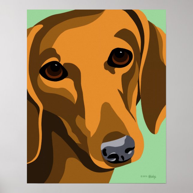 Posters Dachshund (Devant)