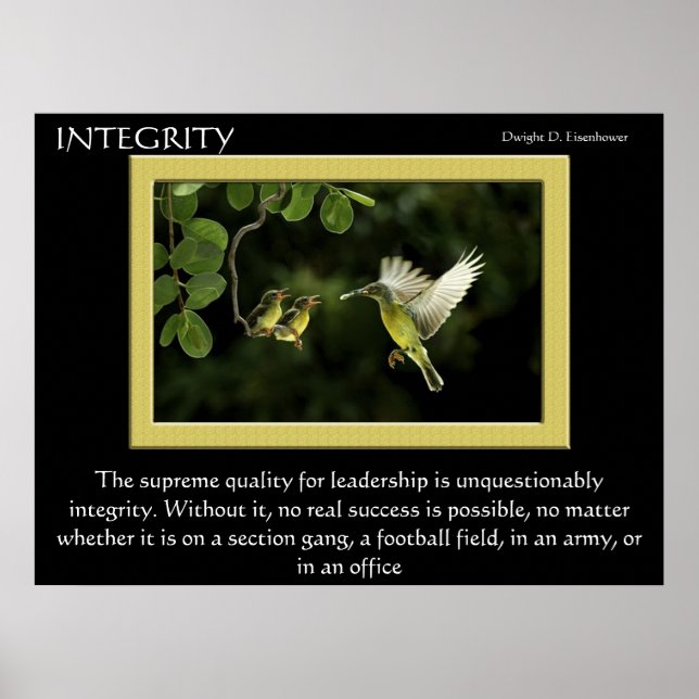 Posters de colibris INTEGRITY (Devant)