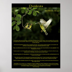 Posters de Desiderata Hummingbird 3