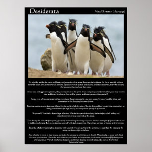 Posters de Desiderata Penguins à pied