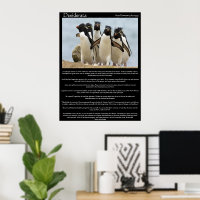 Posters de Desiderata Penguins à pied