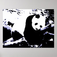 Posters de Panda - Poster de Panda