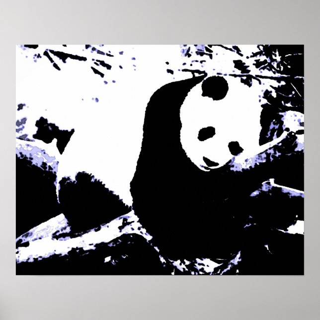 Posters de Panda - Poster de Panda (Devant)