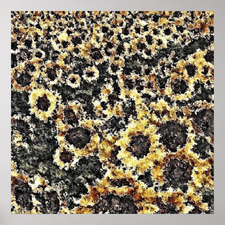 Posters de tournesol