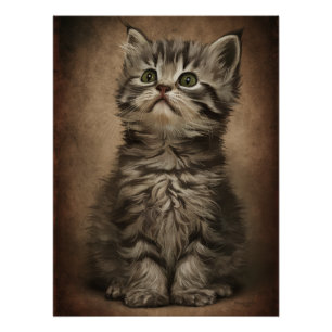 Posters Dives Cat 4