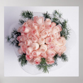Posters et impressions de roses roses parfaites
