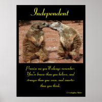 Posters indépendants Animal 4