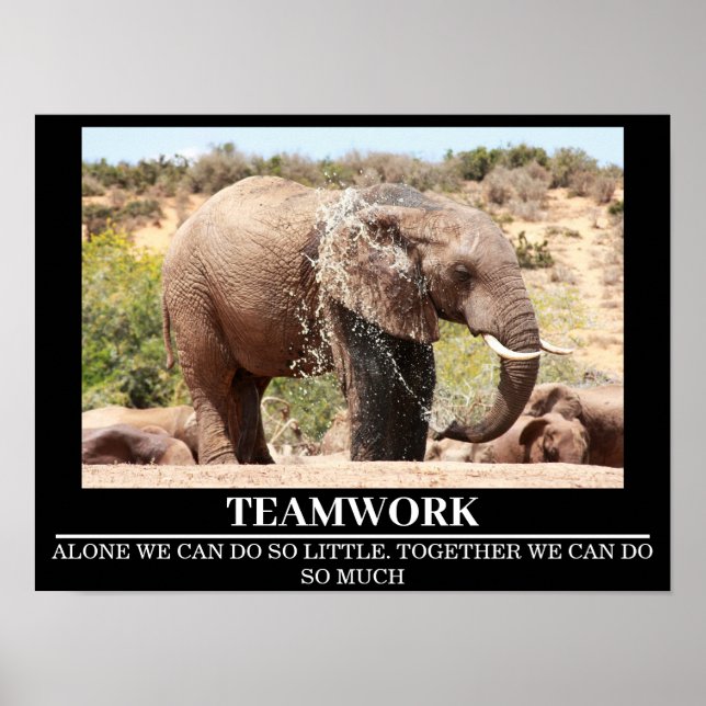 Posters Motivation Faune Elephant Travail d'équipe (Devant)