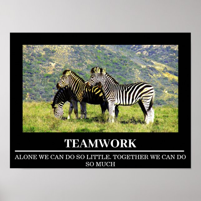 Posters Motivation Faune Zebra Teamwork (Devant)