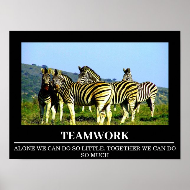 Posters Motivation Faune Zebra Teamwork (Devant)