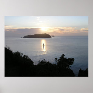Posters néo-zélandais