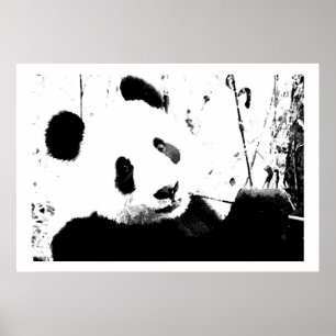 Posters noir et blanc Panda face Imprimantes