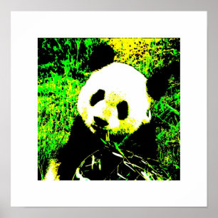 Posters Panda - Poster de manger Panda