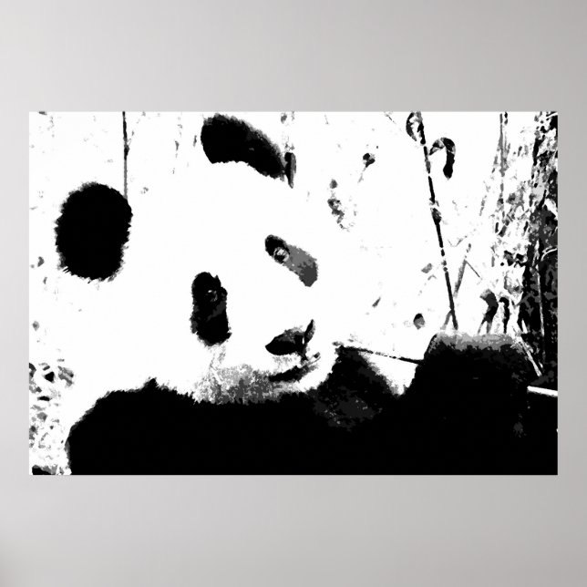 Posters Panda - Visage Panda noir et blanc (Devant)