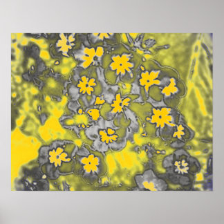 Posters photographiques d'art