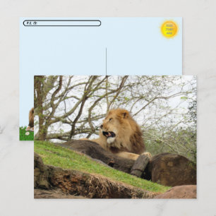 Postfranchissement - Carte postale de la voie ferr