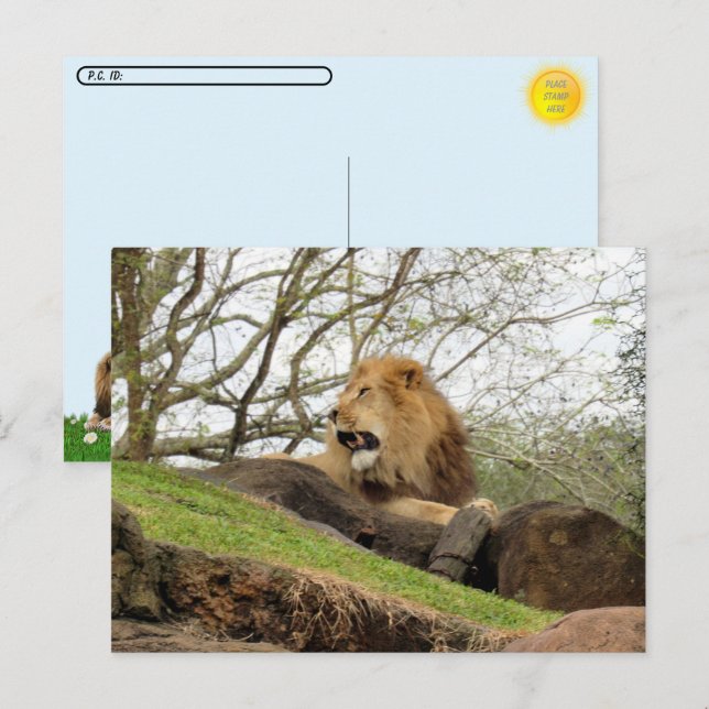 Postfranchissement - Carte postale de la voie ferr (Devant / Derrière)