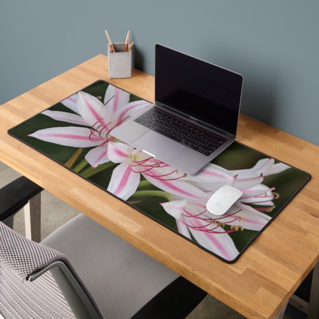 Pot de bureau floral personnalisé (Bureau 2)