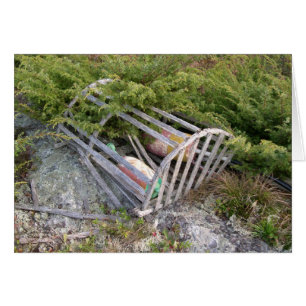 Pot de homard et biberons, Maine, États-Unis
