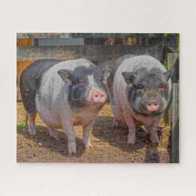 Pot pot ventre Mini cochons Jigsaw Puzzle (Horizontal)