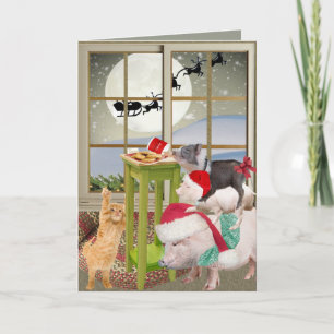 Pot Ventre Cochon Noël Cartes de souhaits