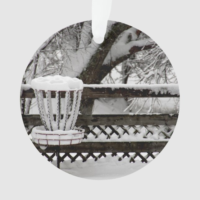 Poteau de but de golf de disque dans la neige (devant)