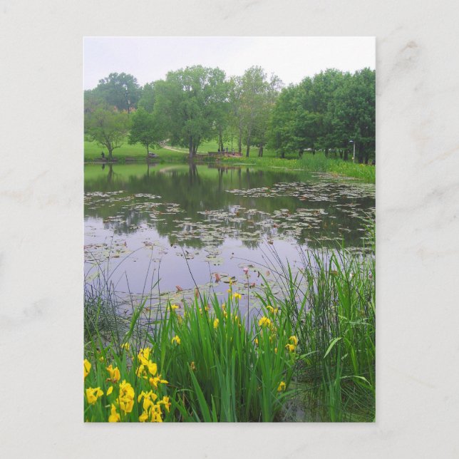 Potter Lake en Lawrence, Kansas, Carte postale (Devant)