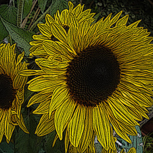 Pouf design contemporain grandes fleurs de soleil jaune