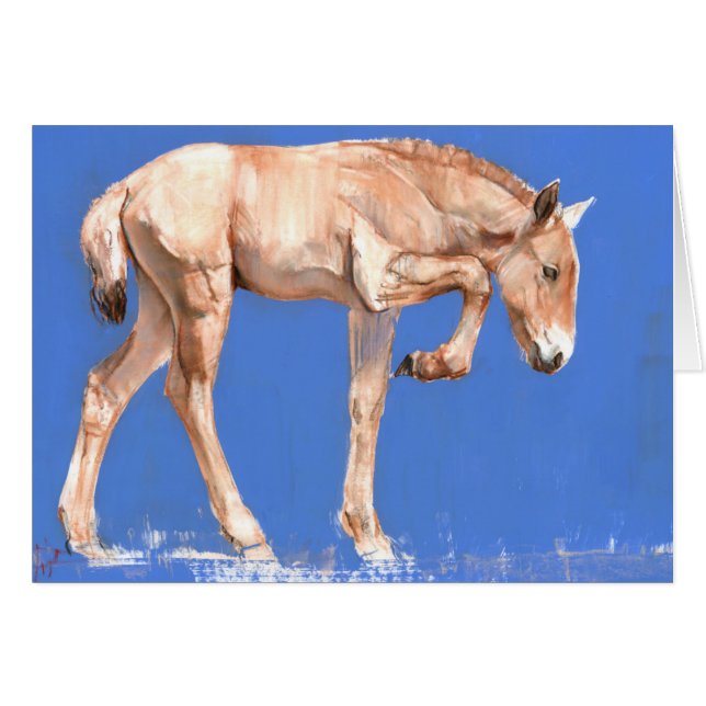 Poulain 2012 de Przewalski (Devant horizontal)