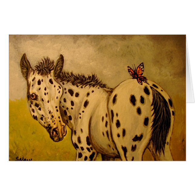 Poulain et papillon d'Appaloosa (Devant horizontal)