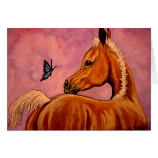 Poulain et papillon de palomino