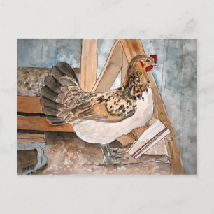 poule au poulet animal portrait carte postale art