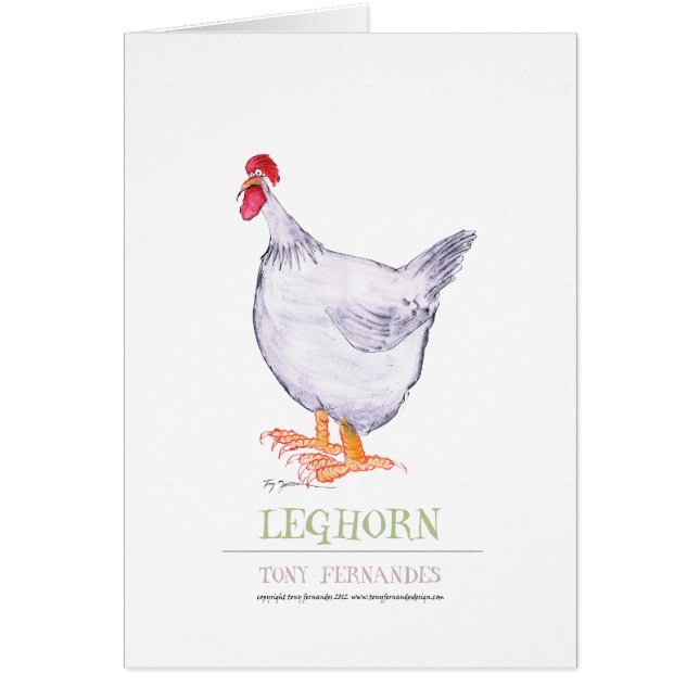 POULE LIVOURNAISE, fernandes élégants (Devant)