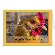 Poulet dans la barrière heureuse vous avez piloté