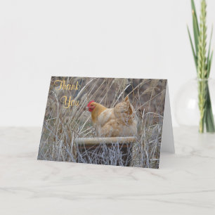 Poulet Dans Un Carte de remerciements De Pot