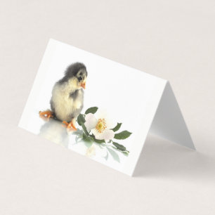 poulet drôle ・ Carte de visite plié