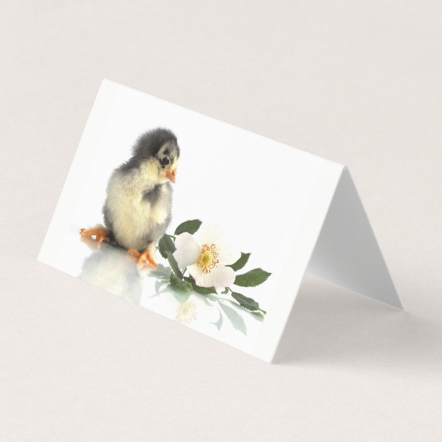 poulet drôle ・ Carte de visite plié (Devant)