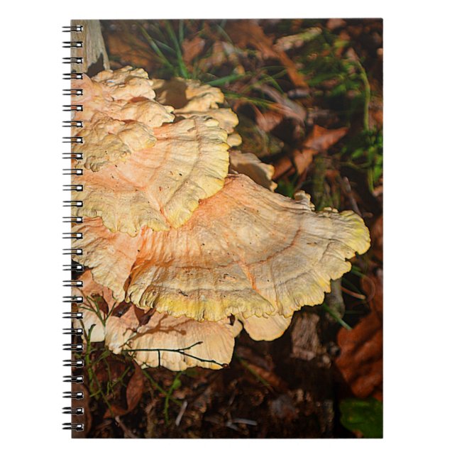 Poulet du Carnet des champignons de bois (Devant)