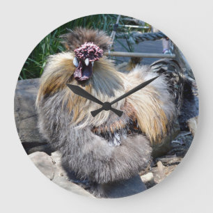 Poulet Laide Fluffant, Horloge Mur