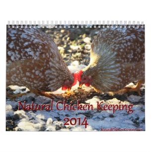 Poulet naturel gardant le calendrier de 2014